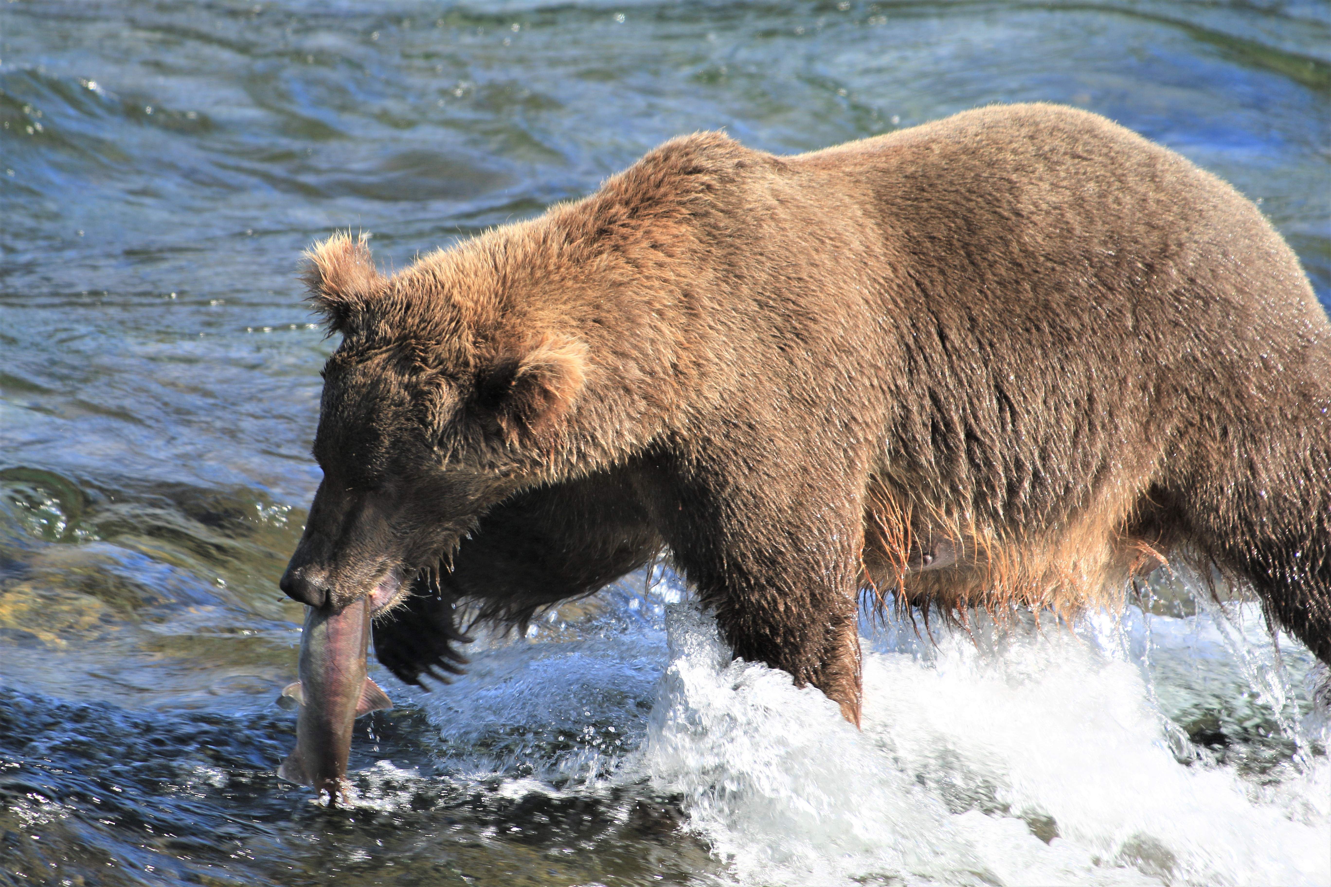 Alaska